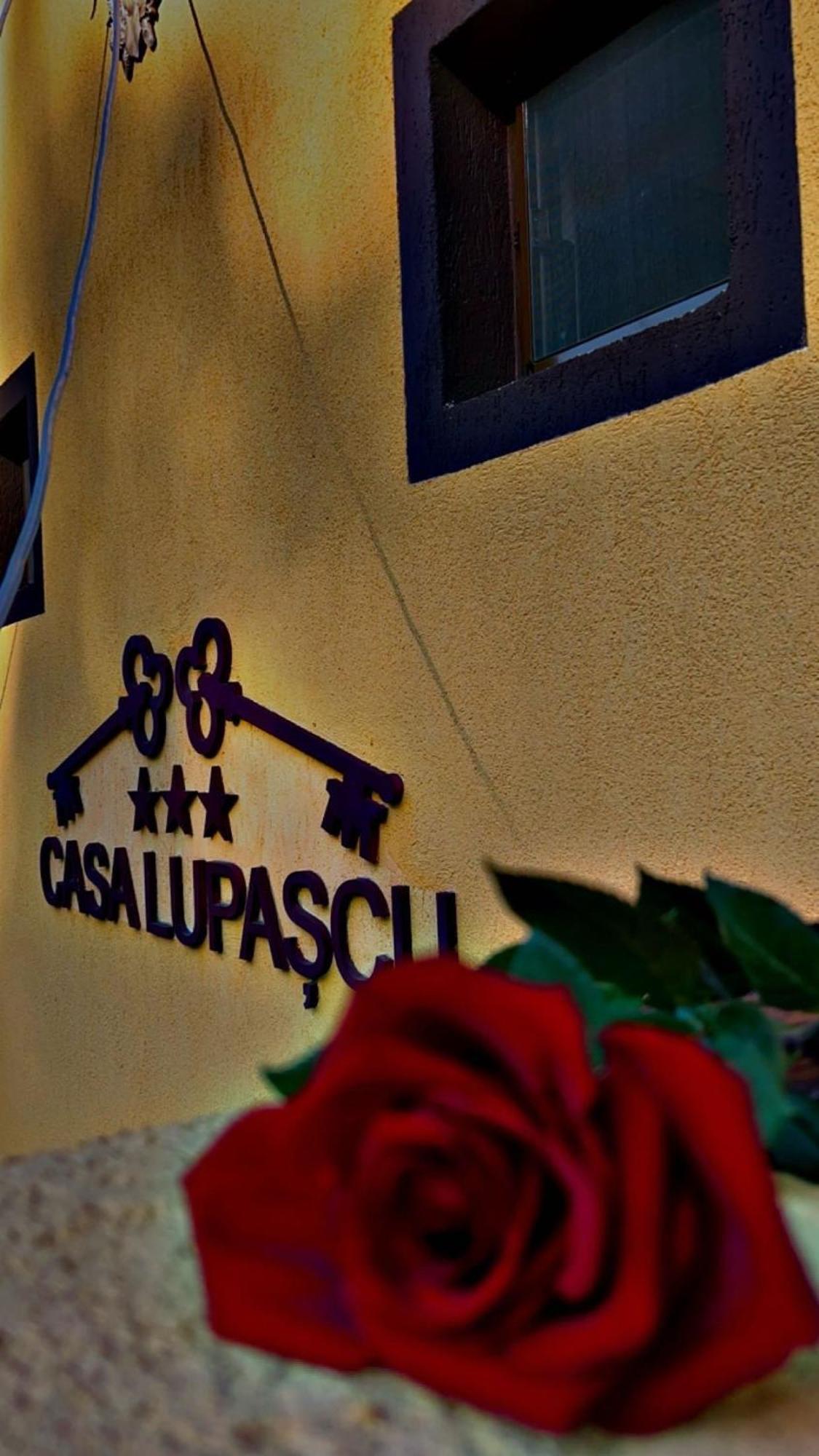 Casa Lupascu Hotel Vatra Dornei Exterior photo