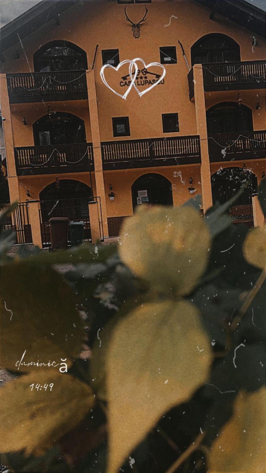 Casa Lupascu Hotel Vatra Dornei Exterior photo